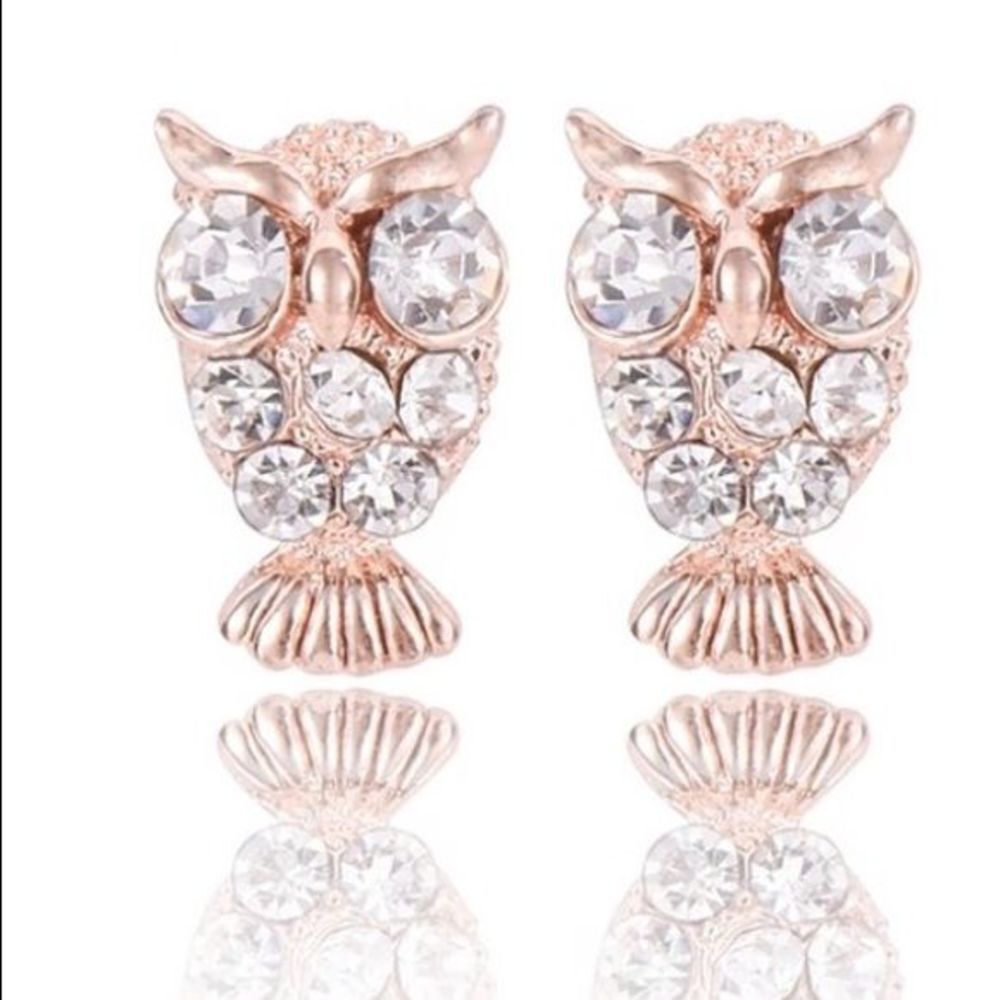 (P1) Owl Earrings